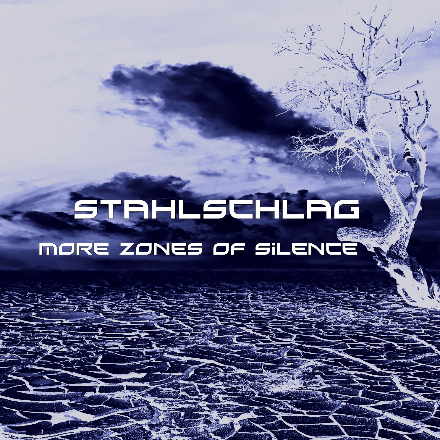Cover for More Zones of Silence